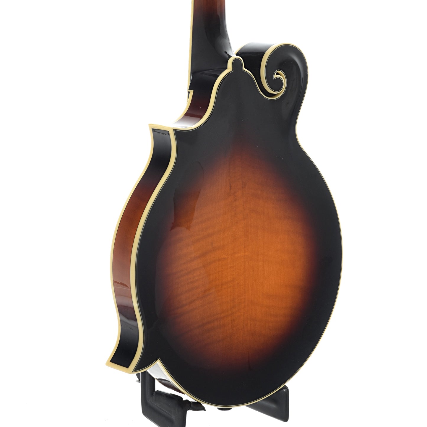Back and Side of The Loar LM-600-VS Mandolin 