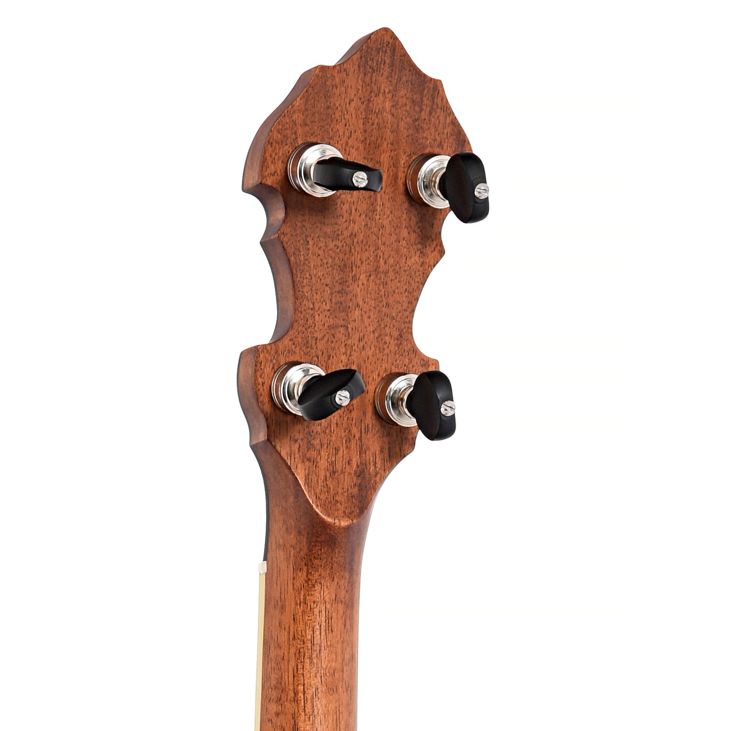 Image 9 of Gold Tone OB-Bela Bela Fleck Bluegrass Heart Banjo & Case- SKU# GTOB-BELA : Product Type Resonator Back Banjos : Elderly Instruments
