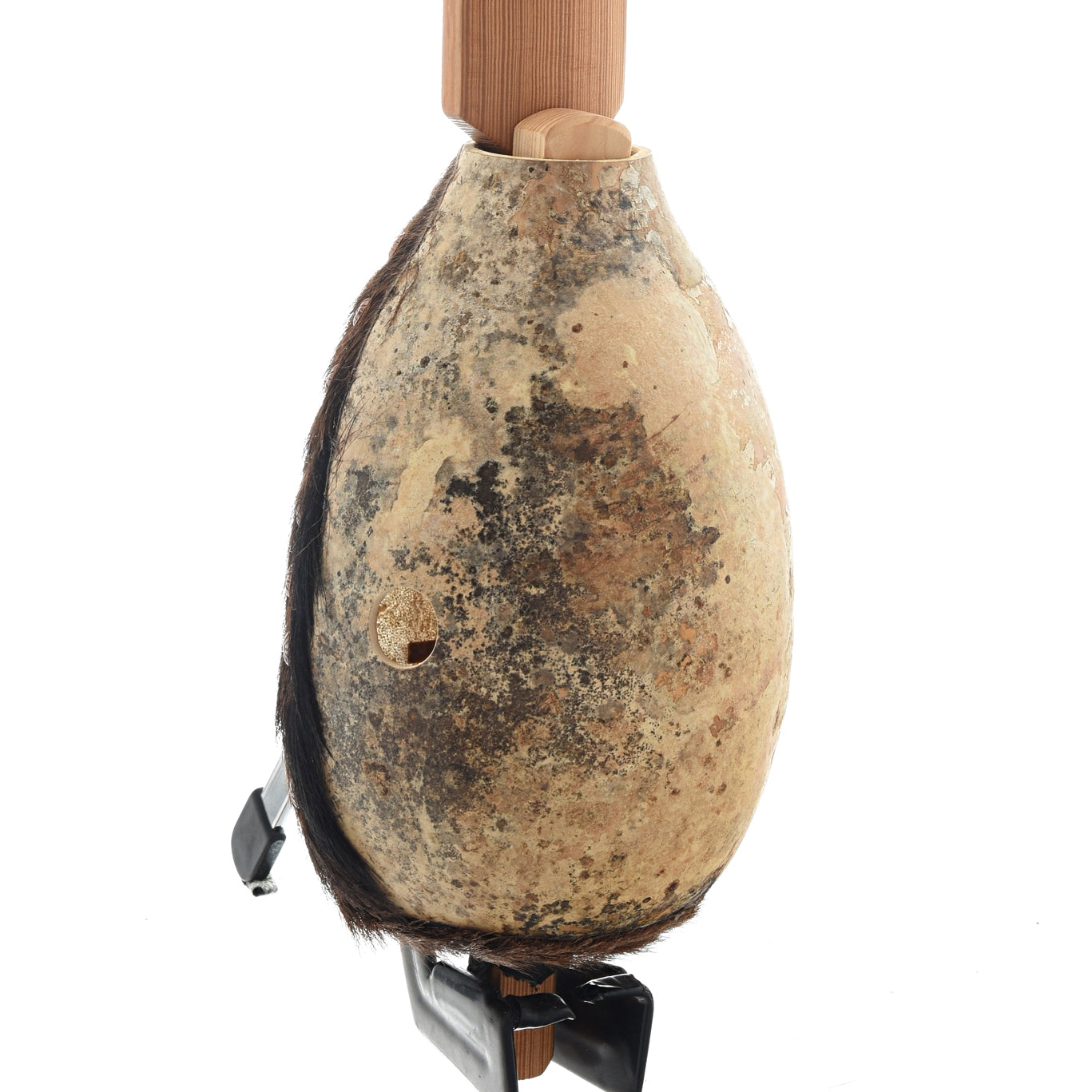 Image 9 of Menzies Gourd Banza - SKU# MBANZ8-1 : Product Type Other Banjos : Elderly Instruments