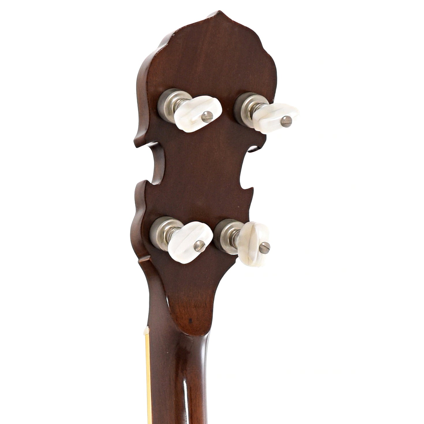 Back headstock of Gold Star G11W Resonator Banjo