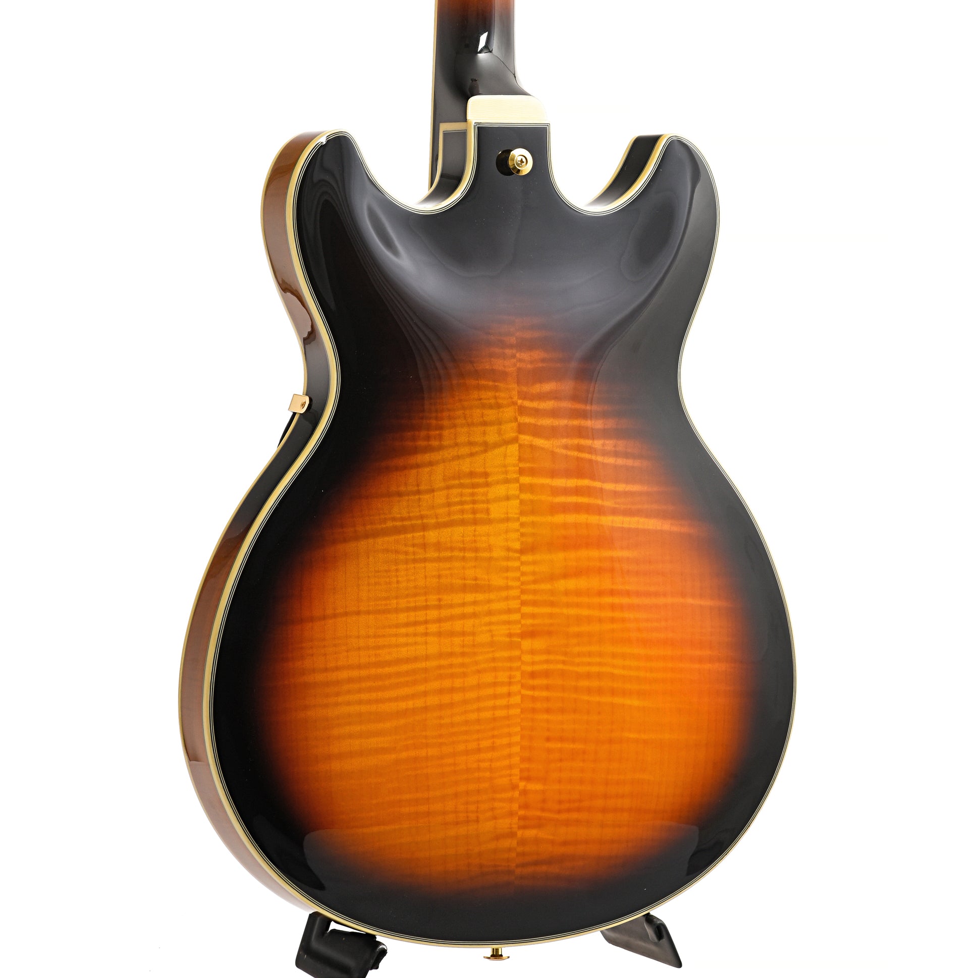 Back and Side of Ibanez JSM10 Semi-Hollowbody Guitar