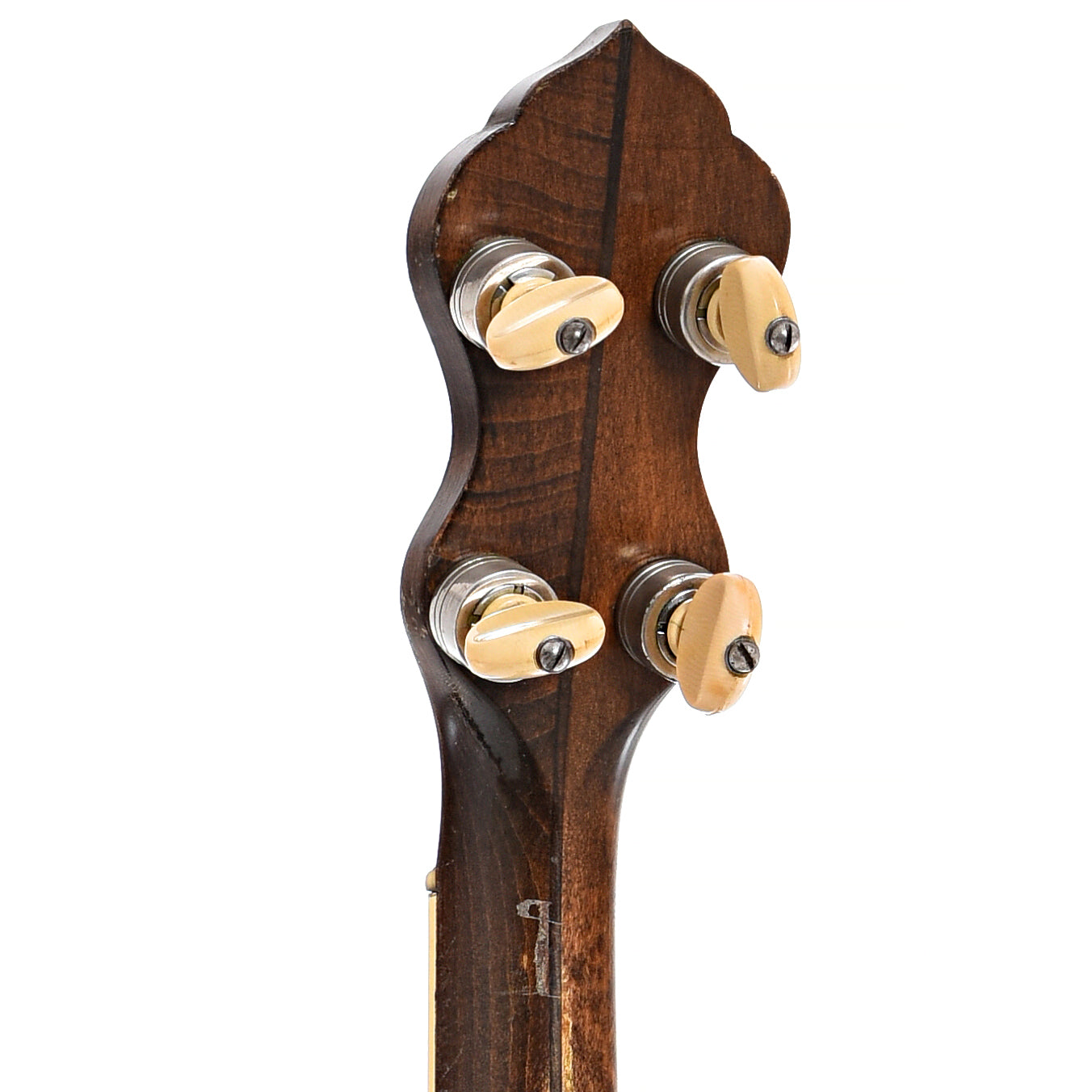 Back headstock of Washburn Style 5177 "Dasant" Tenor Banjo 