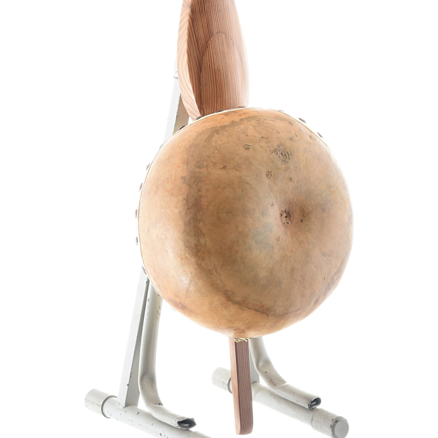Image 8 of Menzies 4-String Gourd Banjo, #387 - SKU# MGB4-387 : Product Type Other Banjos : Elderly Instruments