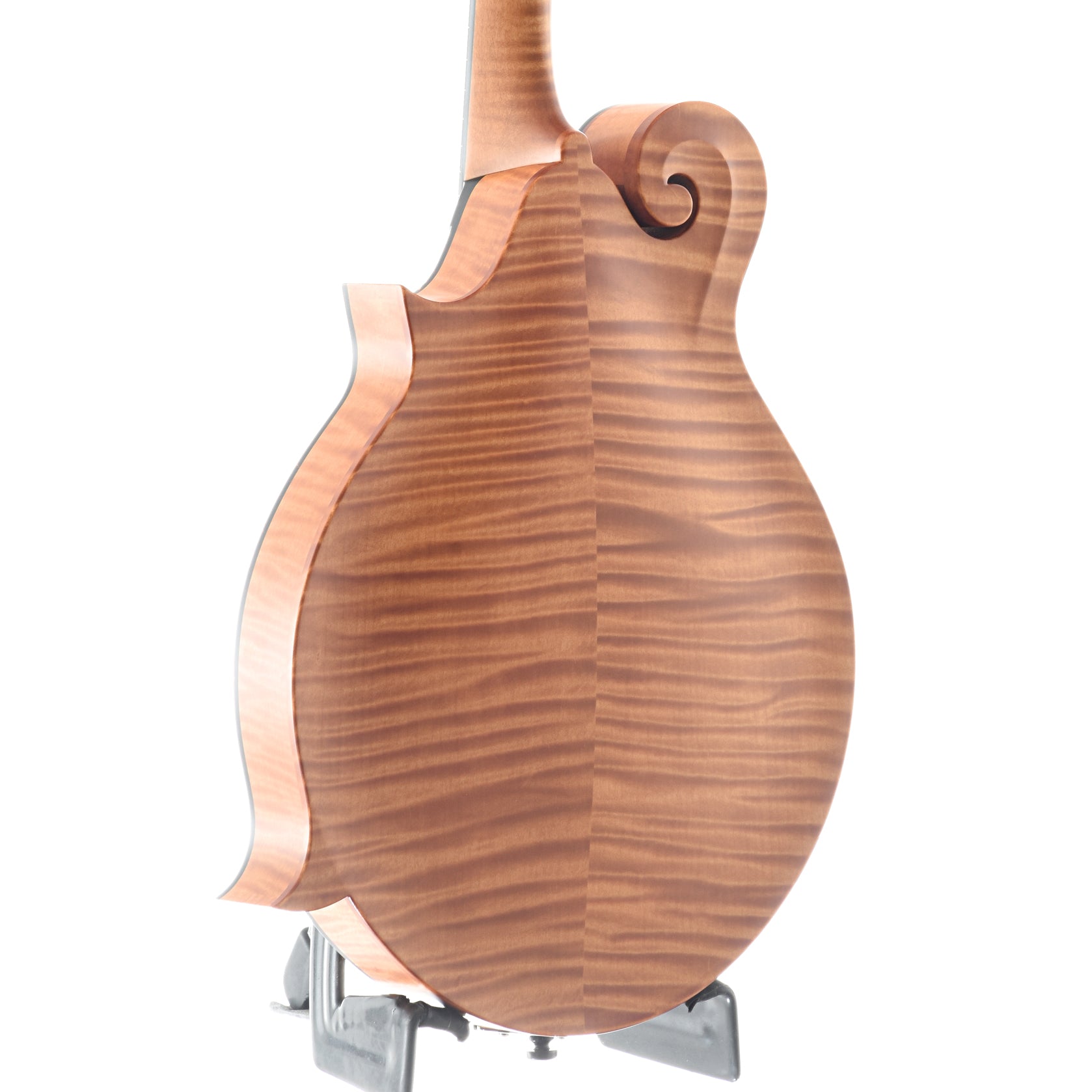 Image 10 of Collings MF F-Model & Case, Honey Amber Finish, Glossy Top - SKU# MF-TAG : Product Type Mandolins : Elderly Instruments