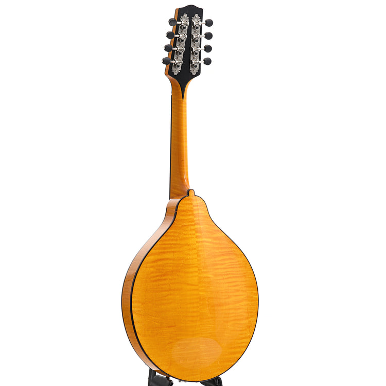 Image 13 of Pava Player Model A-Mandolin & Case, Amber - SKU# PPL-AMBER : Product Type Mandolins : Elderly Instruments