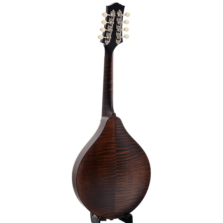 Image 10 of Collings MT A-Model, Sheraton Brown with Ivoroid Binding & Case - SKU# CMTA-BI : Product Type Mandolins : Elderly Instruments