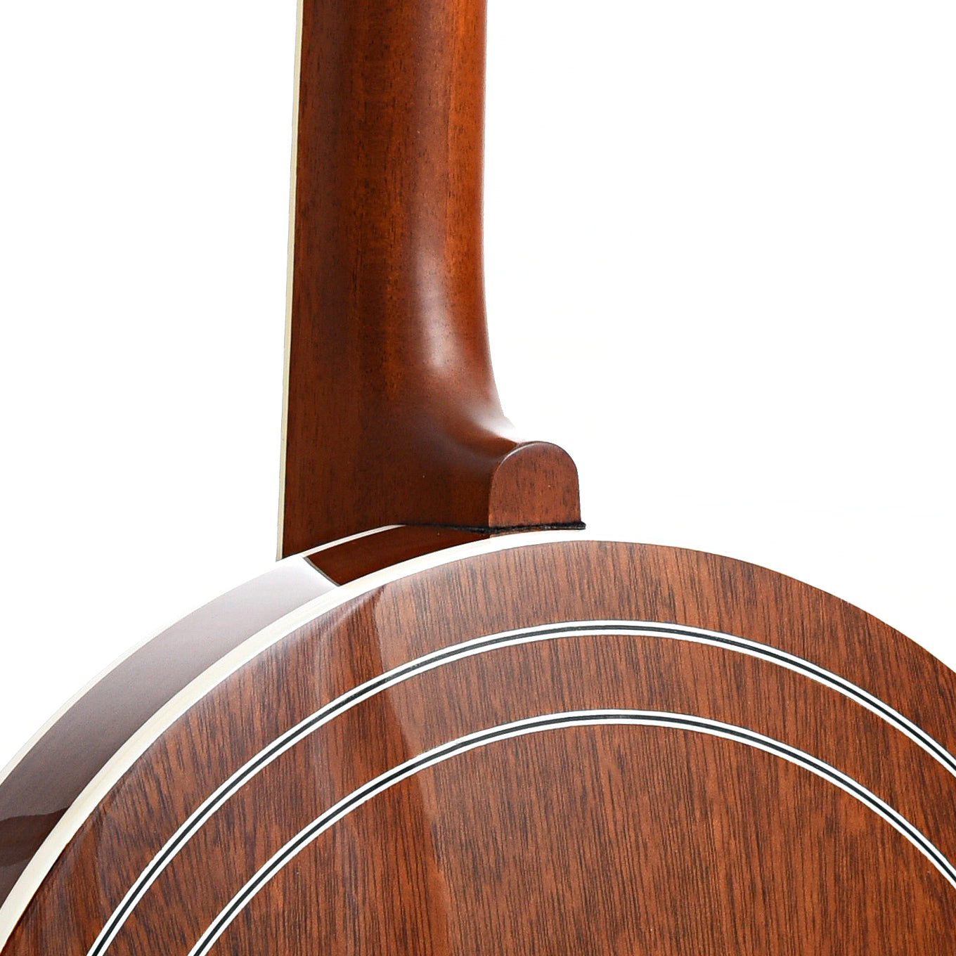 Gold Star GF100HF "Hearts & Flowers" Resonator Banjo & Case