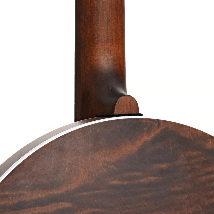 Heel of Deering Sierra Maple Banjo 