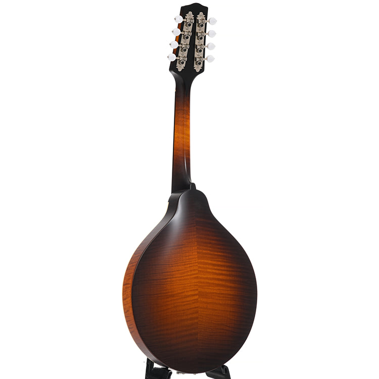 Full Back and Side of Pava A5 Satin Model Mandolin, Sunburst