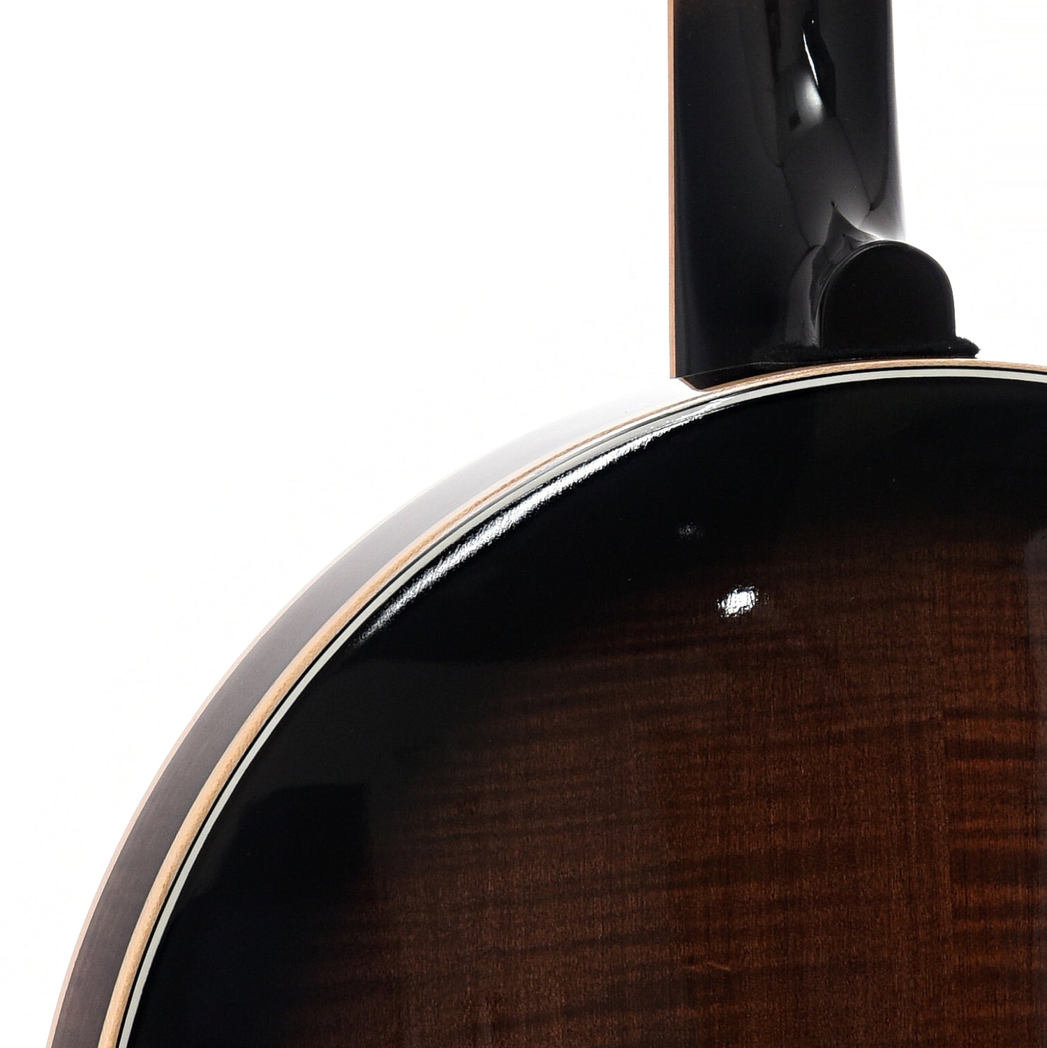 Back Neck Joint of Gold Tone OB-250LW Banjo