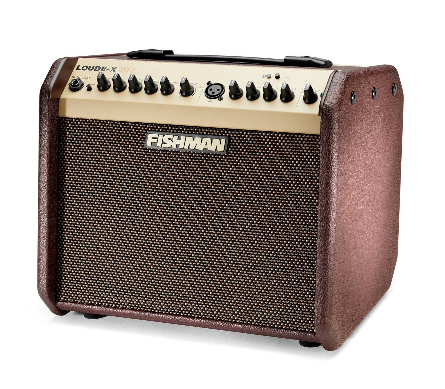 Front and Side of Fishman Loudbox Mini with Bluetooth Acoustic Amp