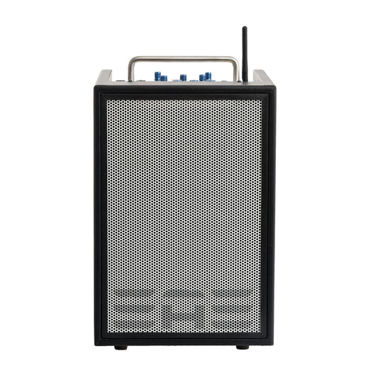 Image 1 of Elite Acoustics D6-8 MkII - - SKU# 130U-209920 : Product Type Amps & Amp Accessories : Elderly Instruments