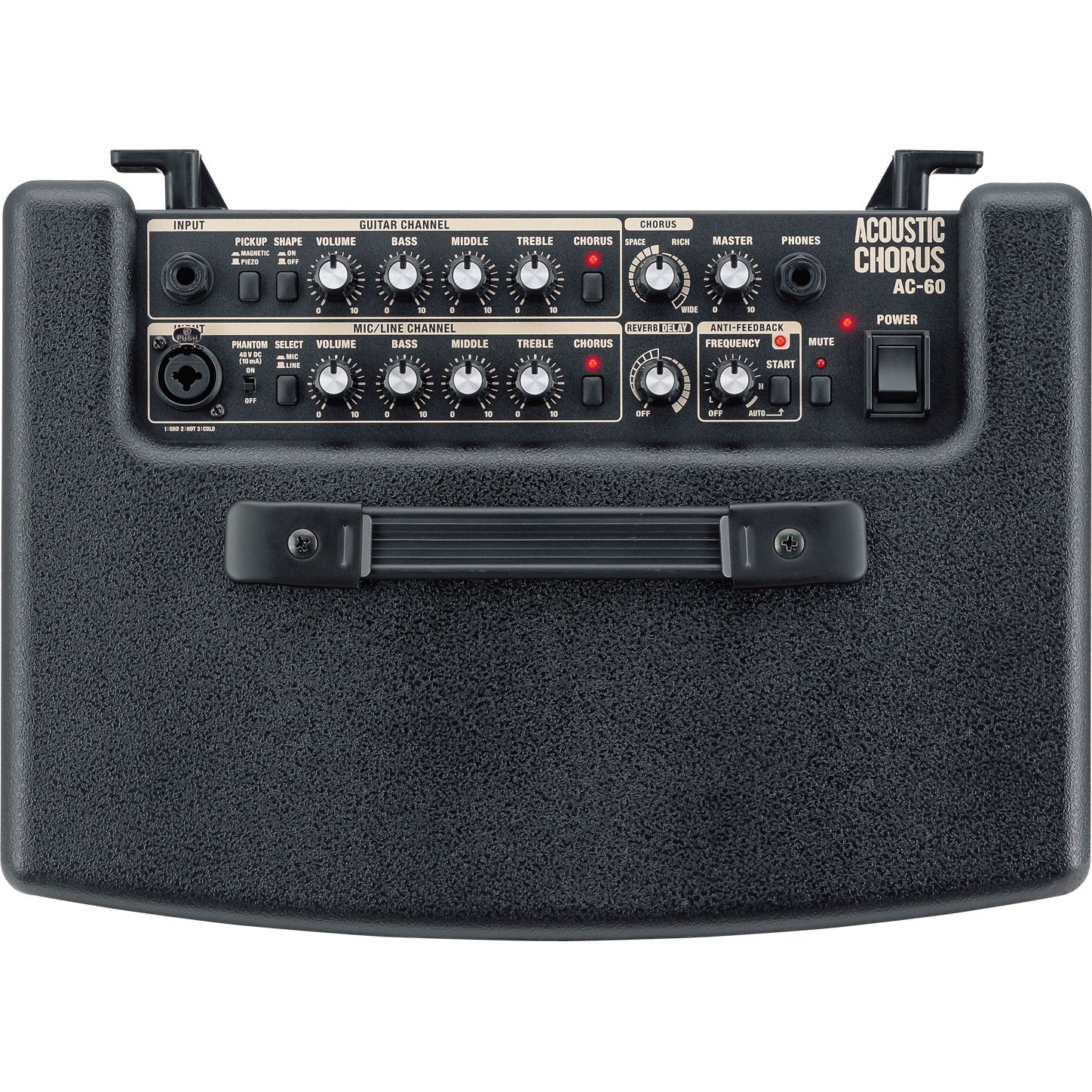 Image 4 of Roland AC-60 Acoustic Chorus Guitar Amplifier - SKU# AC60 : Product Type Amps & Amp Accessories : Elderly Instruments