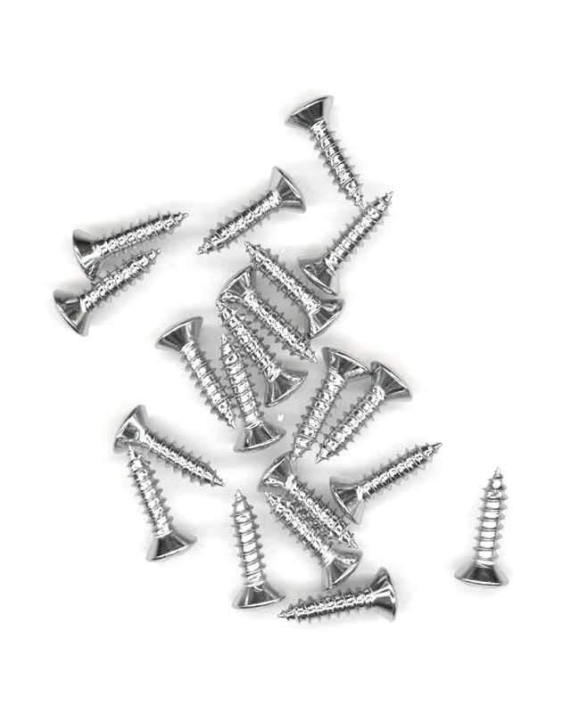 Image 1 of Pickguard Screws, Bag of 20 - SKU# APPGS-CHROME : Product Type Accessories & Parts : Elderly Instruments