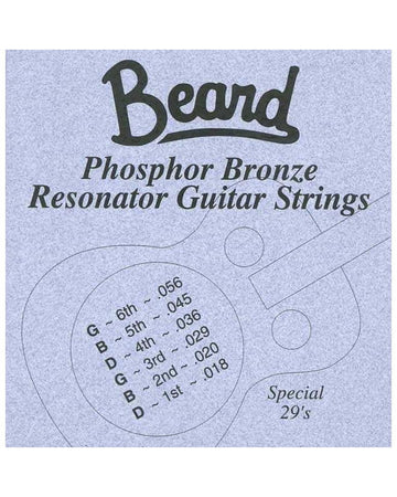 Beard – Elderly Instruments