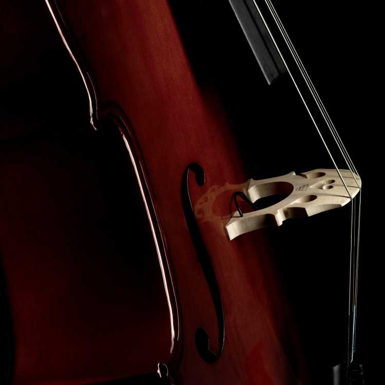 Image 2 of Fishman C-200 Cello Pickup - SKU# C200 : Product Type Pickups : Elderly Instruments