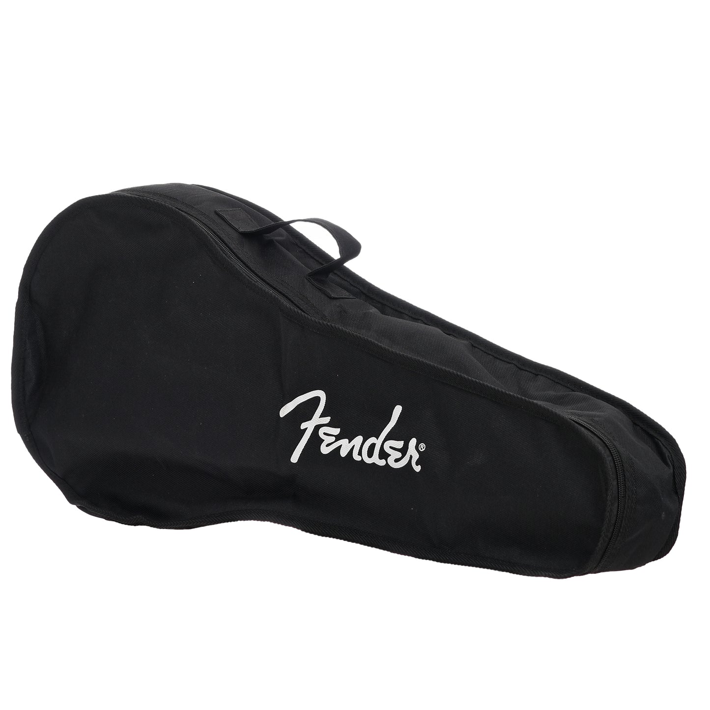 Gig bag for Fender PM-180E Mandolin