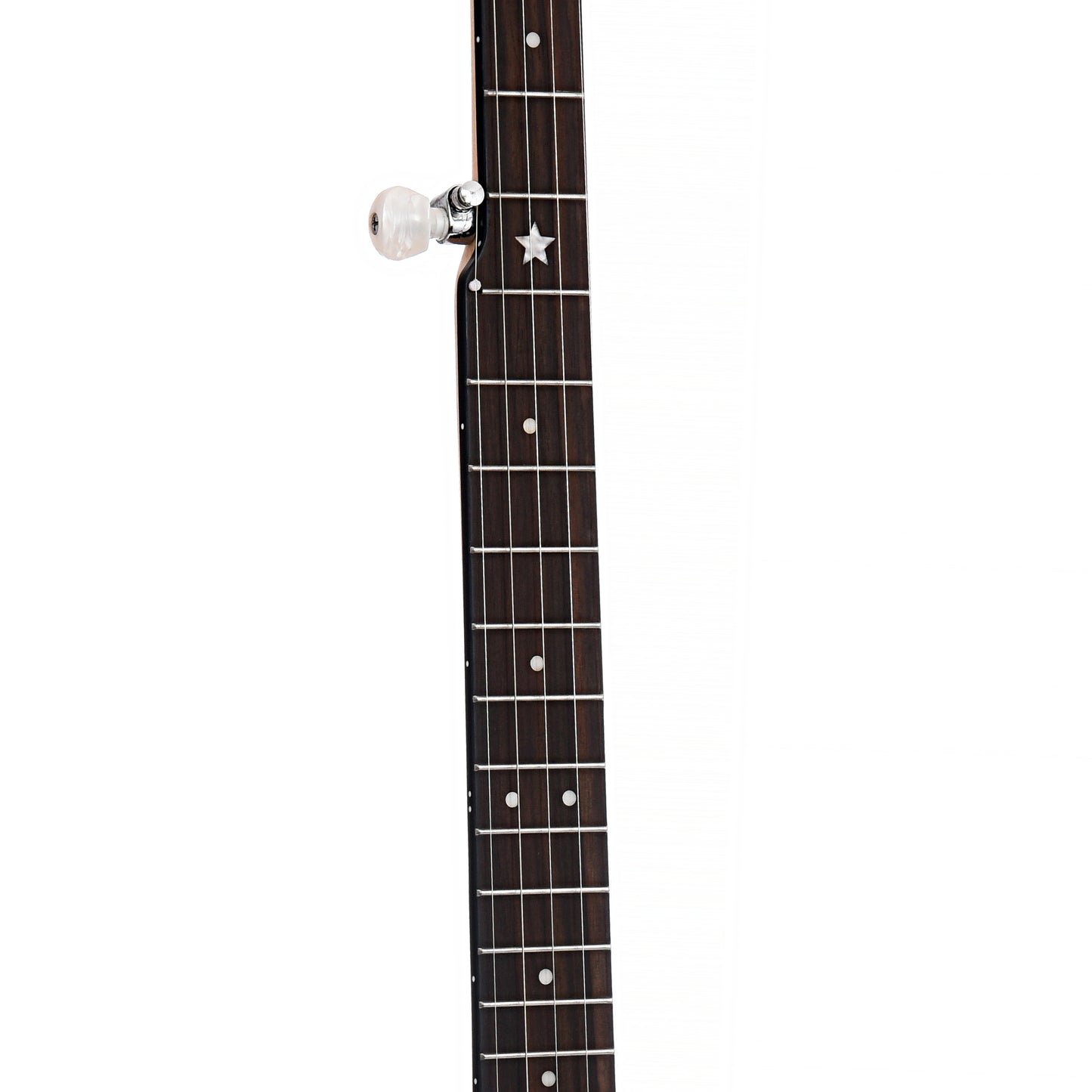 Fretboard of Gold Tone CC-Carlin 12" Openback Banjo 