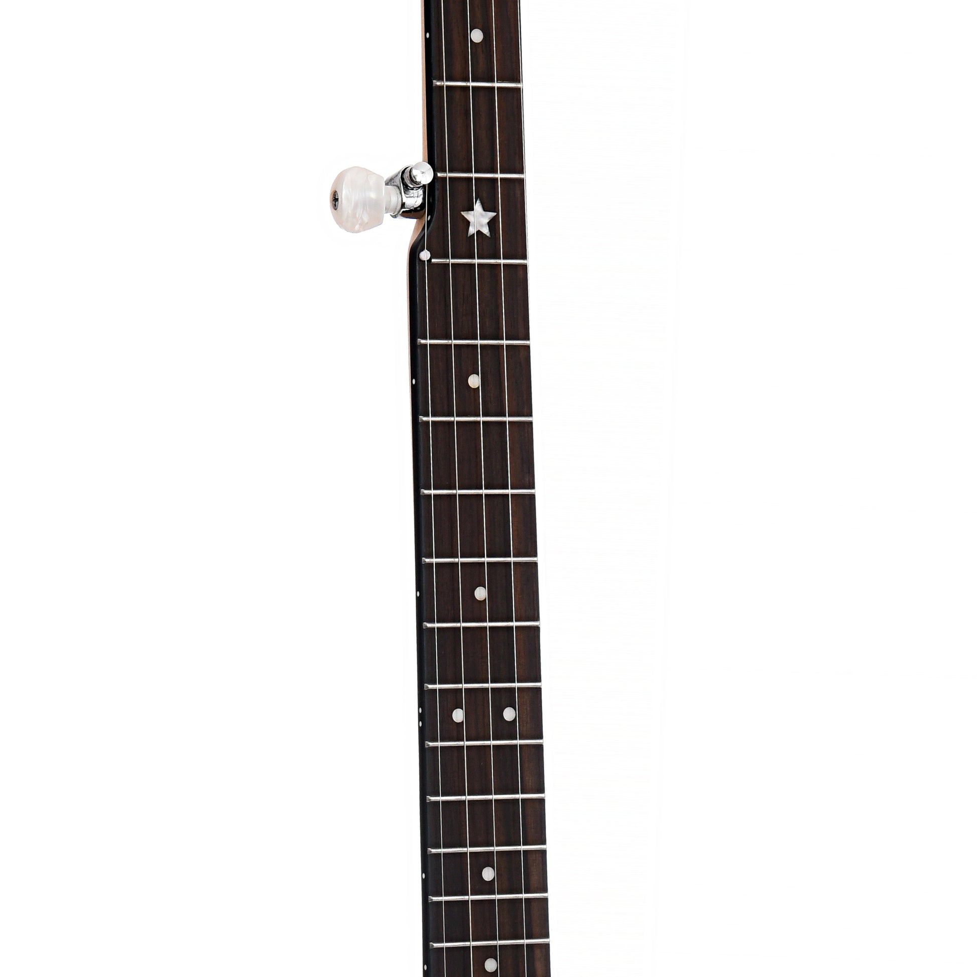 Fretboard of Gold Tone CC-Carlin 12" Openback Banjo 