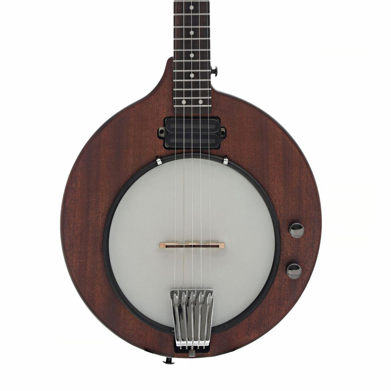 Image Front of Gold Tone EB-5 5-String Electric Banjo & Gigbag - SKU# GTEB5 : Product Type Other Banjos : Elderly Instruments
