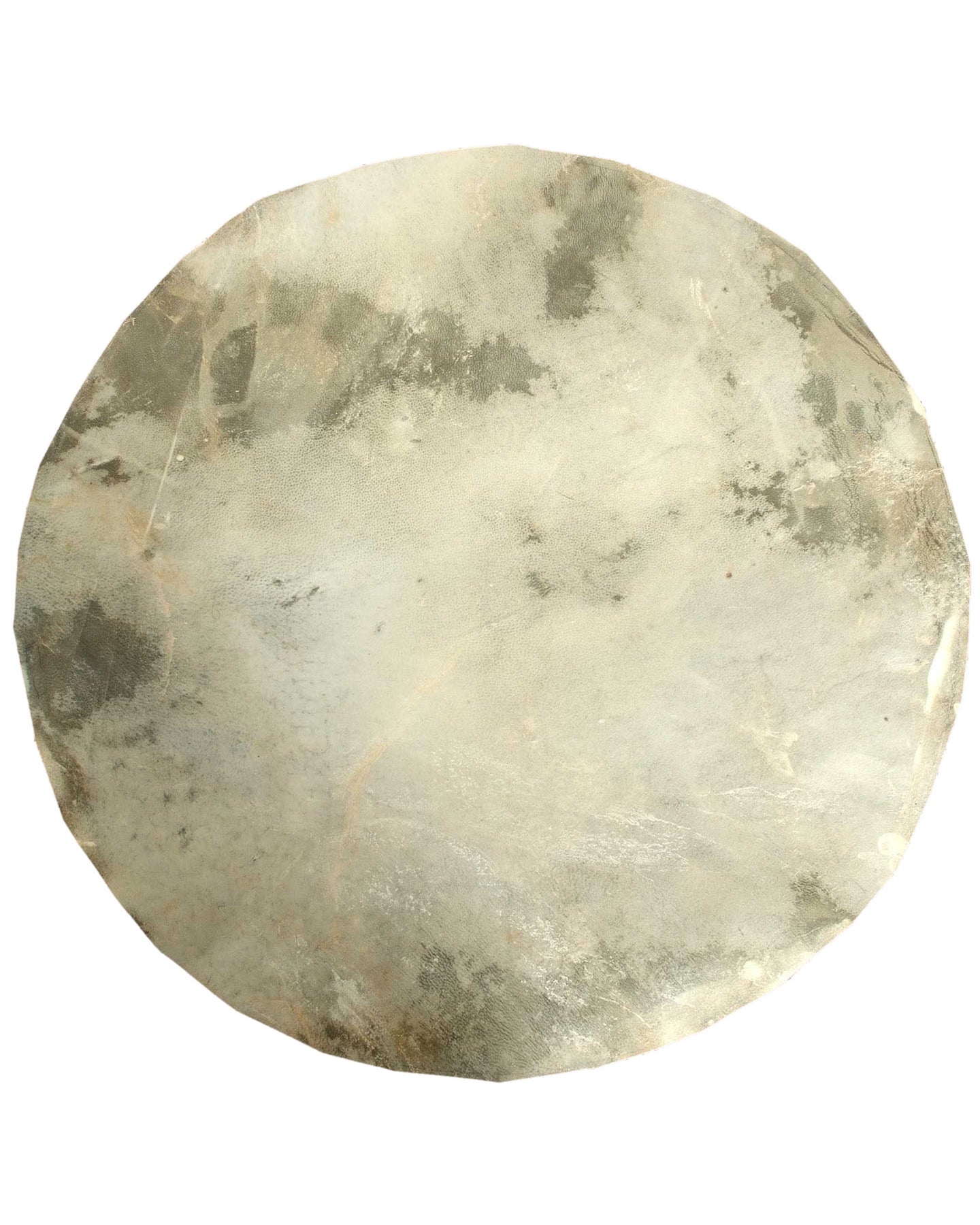 Front of 16" Goatskin Head