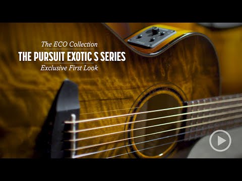 Video of Breedlove Pursuit Exotic S Companion Tiger's Eye CE Myrtlewood-Myrtlewood from Breedlove Guitars