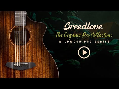 Video of Breedlove Wildwood Pro Concertina Suede CE African Mahogany-African Mahogany from Breedlove Guitars