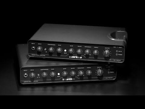 Hartke LX8500 Bass Head – Elderly Instruments