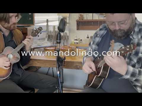 Video for KR Strings Mandolindo Scholar, Spruce & Mahogany