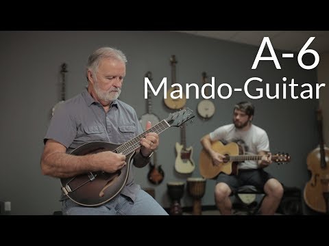 Manditar Instrument Gold Tone A-6 Manditar & Gigbag – Elderly Instruments