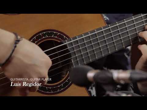 Jose Ramirez Cutaway 2 Studio Classical Guitar and Case, Cedar Top, with Pickup