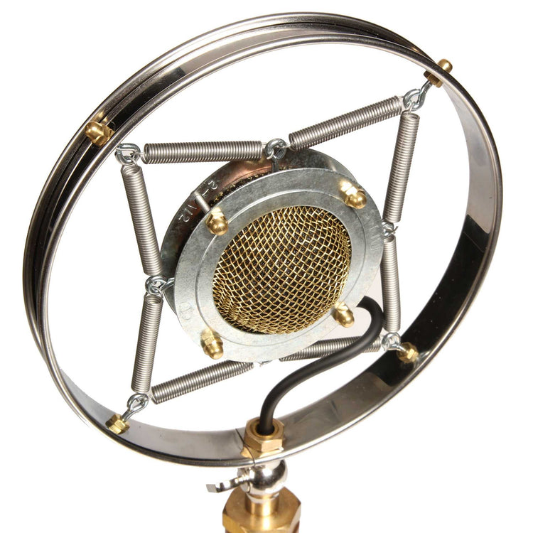 Front and Side of Ear Trumpet Labs Myrtle Condenser Microphone