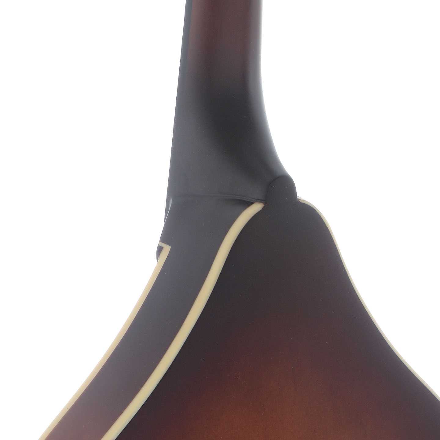 Neck Joint of The Loar "Honey Creek" A-Style Mandolin