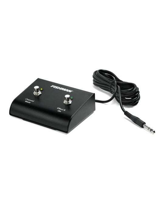 Image 1 of Fishman Dual Footswitch - SKU# FDFS1 : Product Type Amps & Amp Accessories : Elderly Instruments