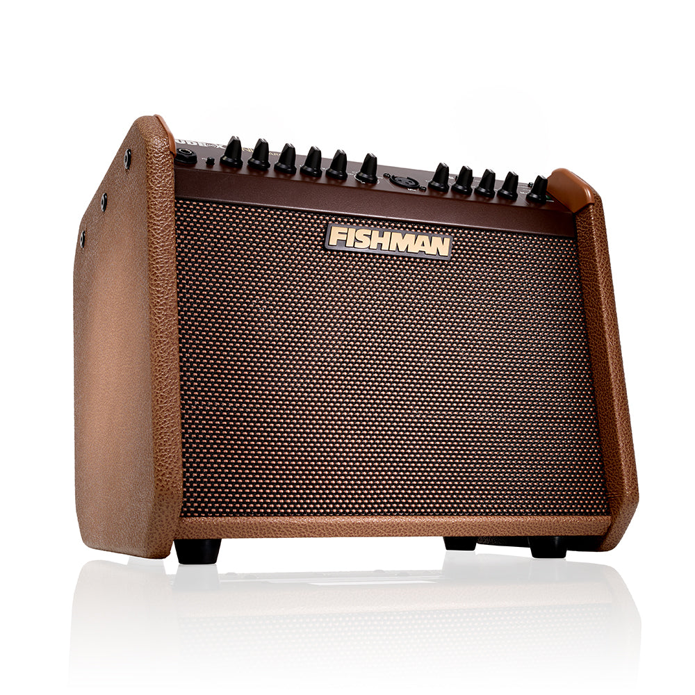 Front and Side of Fishman Loudbox Mini Charge Acoustic Amp