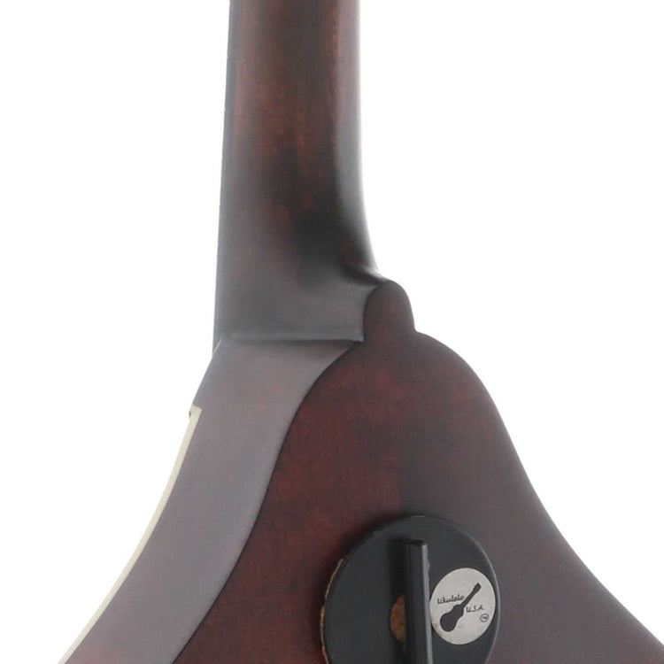 Neck Joint of Eastman MD305 Classic Mandolin 