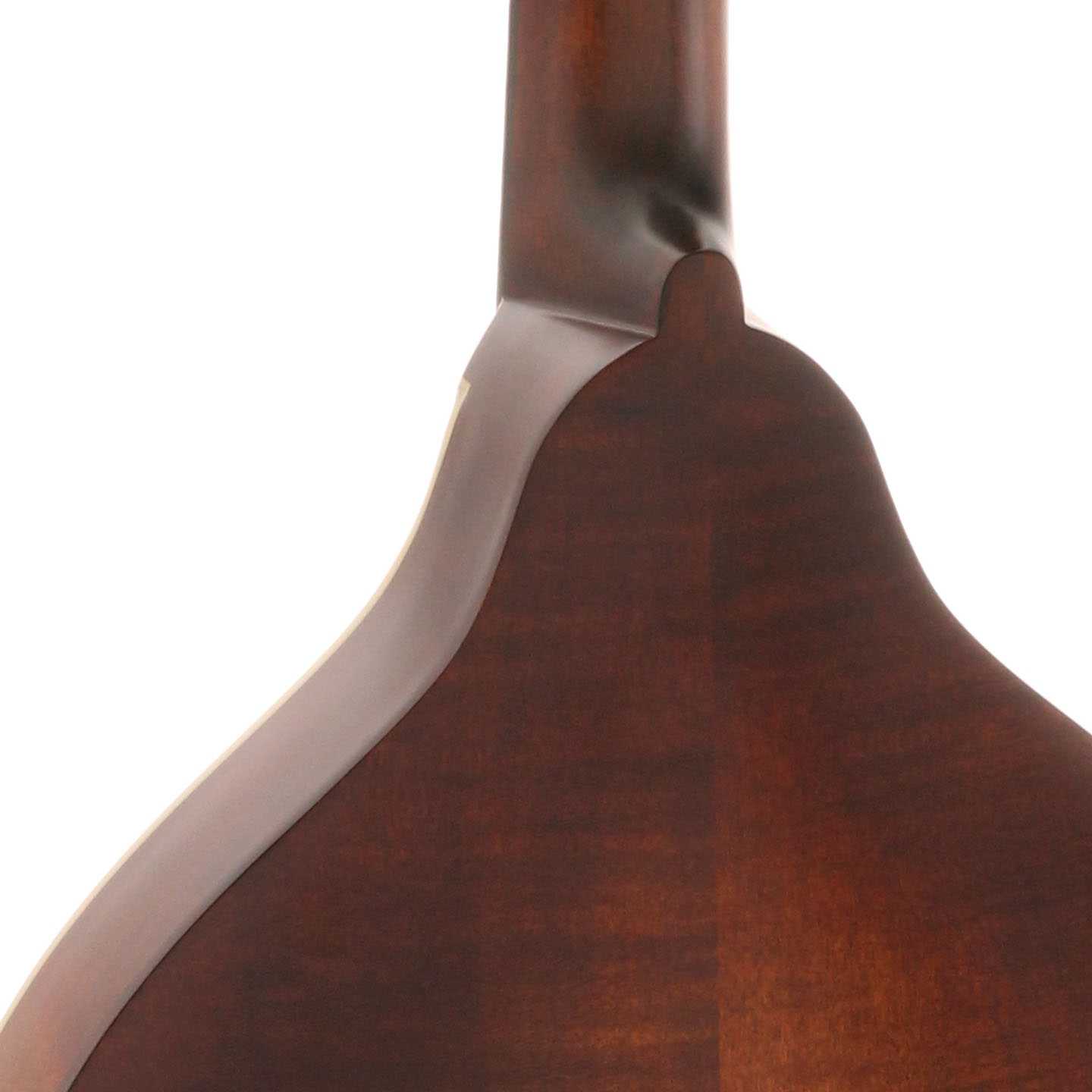 Neck Joint of Eastman MDO-305 Classic Octave Mandolin 